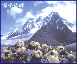 Ldtlk-tiansh2.jpg (36504 bytes)